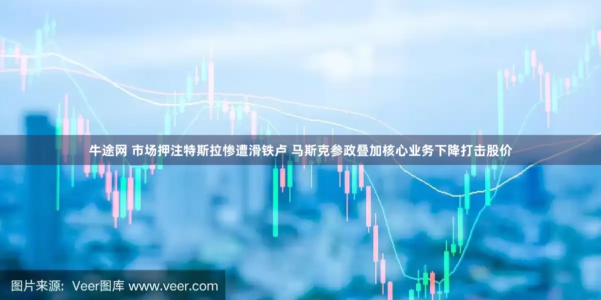 牛途网 市场押注特斯拉惨遭滑铁卢 马斯克参政叠加核心业务下降打击股价