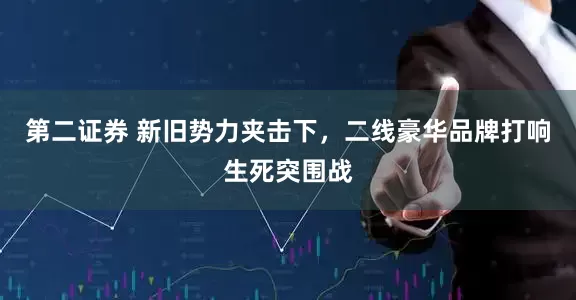 第二证券 新旧势力夹击下，二线豪华品牌打响生死突围战