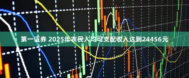 第一证券 2025年农民人均可支配收入达到24456元